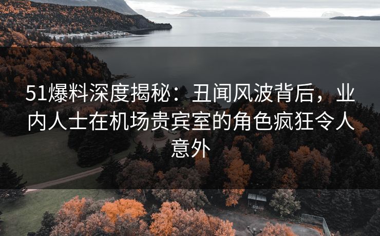 51爆料深度揭秘：丑闻风波背后，业内人士在机场贵宾室的角色疯狂令人意外